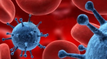 Ebv Virüsü Belirtileri ve Tedavisi