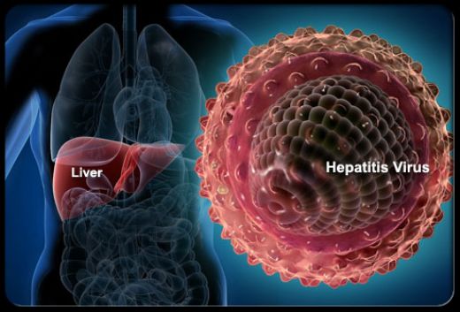 Hepatit B Virüsü