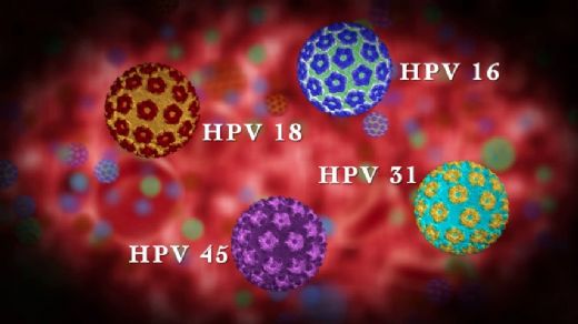 Hpv Virs