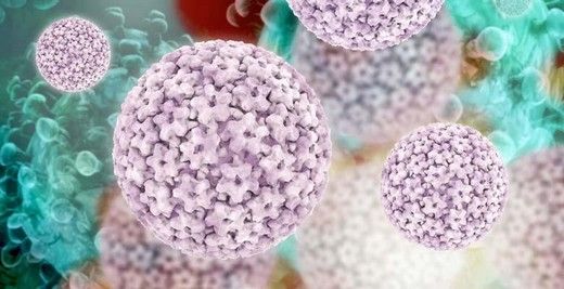 Hpv Virüsü Nasıl Bulaşır