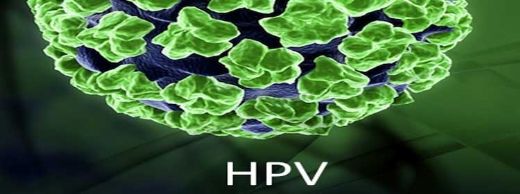 Hpv Virüsü Vücuttan Nasıl Atılır?