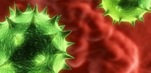 Virüs Hastalıkları Nelerdir?